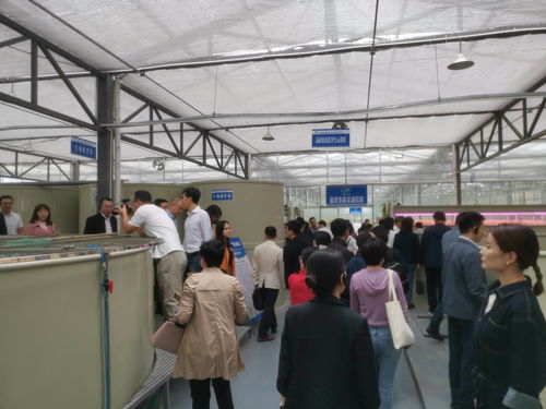 浙江省委黨校中青年干部培訓(xùn)班的學(xué)員蒞臨德清百源康魚(yú)菜工廠交流指導(dǎo)